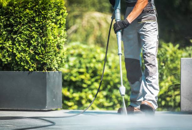 Best Sidewalk and Walkway Cleaning  in Warsaw, MO